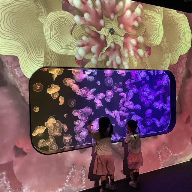 城市中的水母館 🪼 浩海立方·探遊館