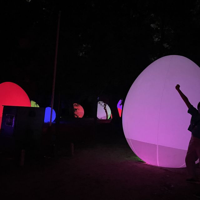 大阪長居植物園team lab