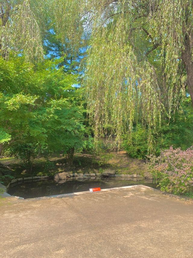한번쯤은 다녀가야하는 호암미술관 🖼️