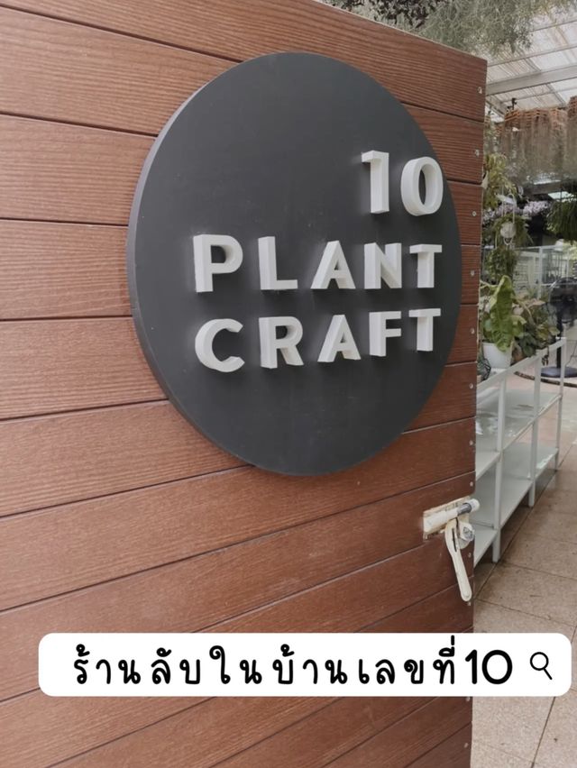 คาเฟ่ลับ (สุรินทร์) ☕️🐘