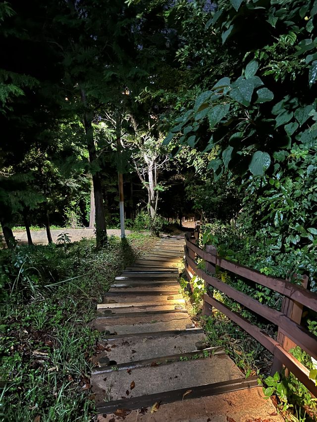 부산 야경명소