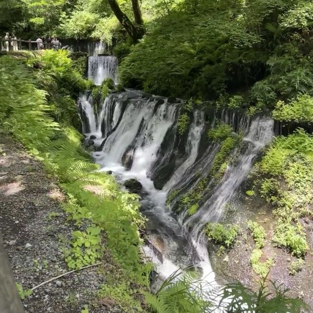 🌲🚗🌸探索輕井澤！一日遊心得分享🌲🚗🌸