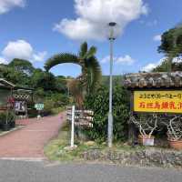 【沖縄】石垣島鍾乳洞探検