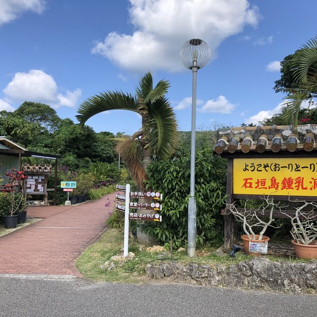 【沖縄】石垣島鍾乳洞探検