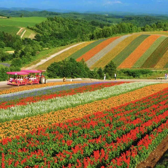 北海道　ひとり旅