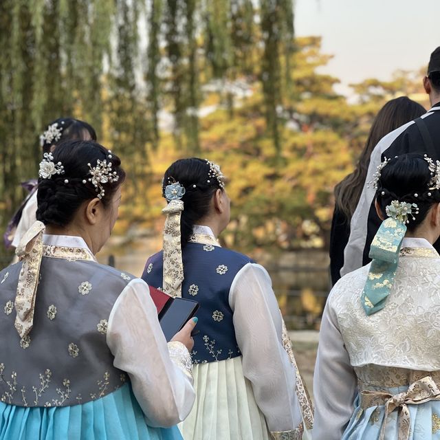 고즈넉한 경복궁.. 가을에 더 예쁜거 아셨나요?🤎🍁