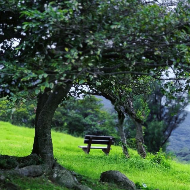 自然的寶藏中！探索八仙嶺郊野公園的美麗景色 🌳🏞️🌼 