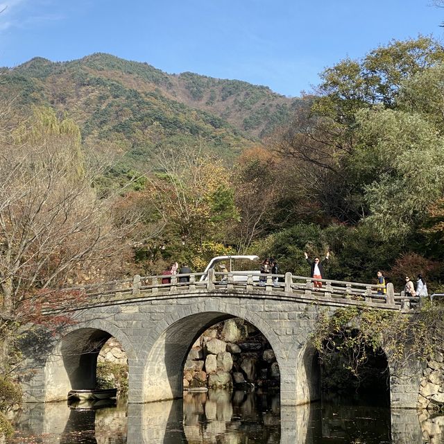 가을 단풍 즐길수 있는 불국사