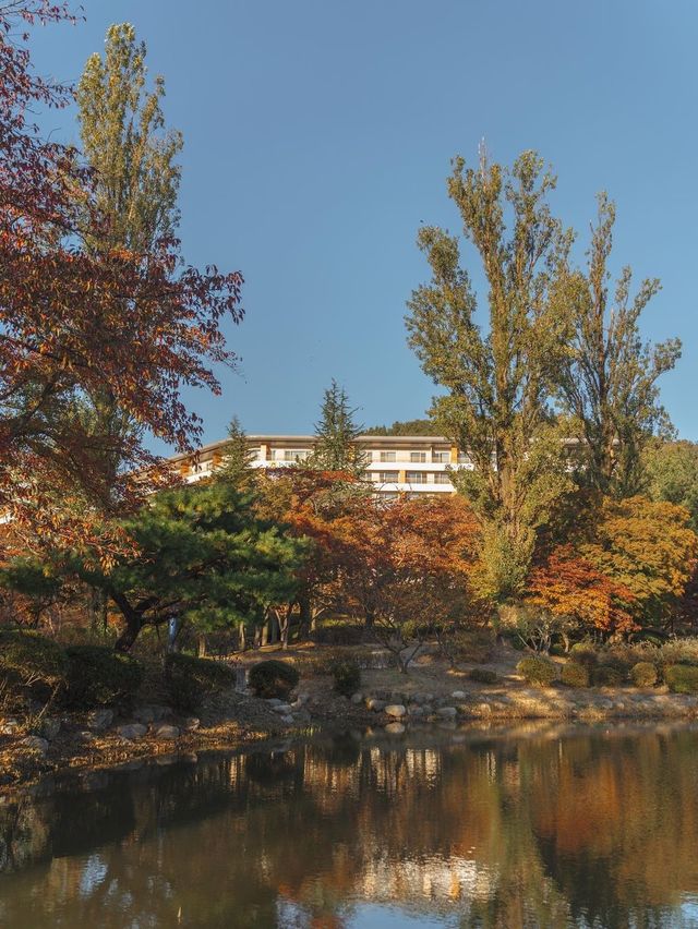 경주 알록달록 단풍명소 보문관광단지 