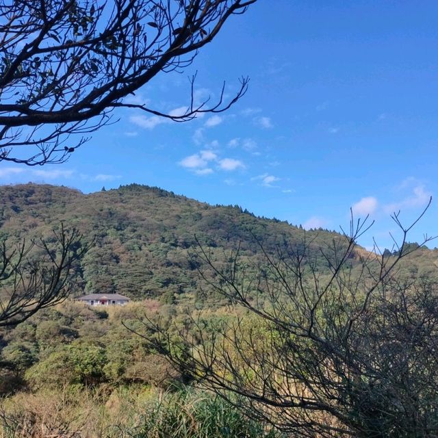 微搖晃-隱身山林菁山吊橋