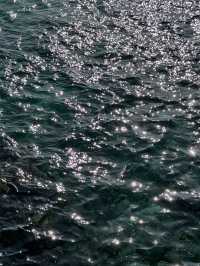 푸른 동해바다 바로 위에서 산책할 수 있는 해랑전망대 🌊🤍