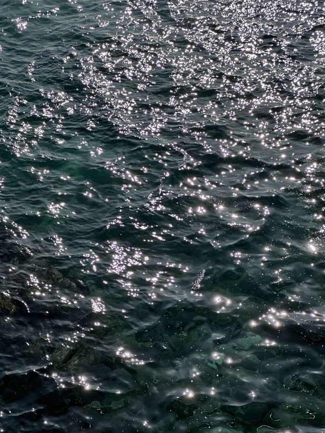 푸른 동해바다 바로 위에서 산책할 수 있는 해랑전망대 🌊🤍