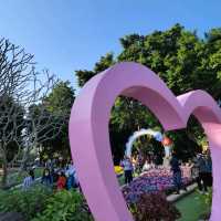 「回歸紀念塔」前的繡球花海🌺🪻🌸🪷