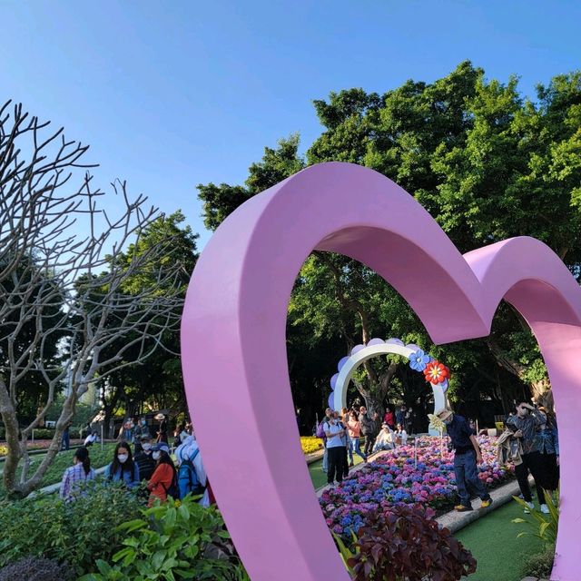 「回歸紀念塔」前的繡球花海🌺🪻🌸🪷