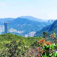 金馬倫山