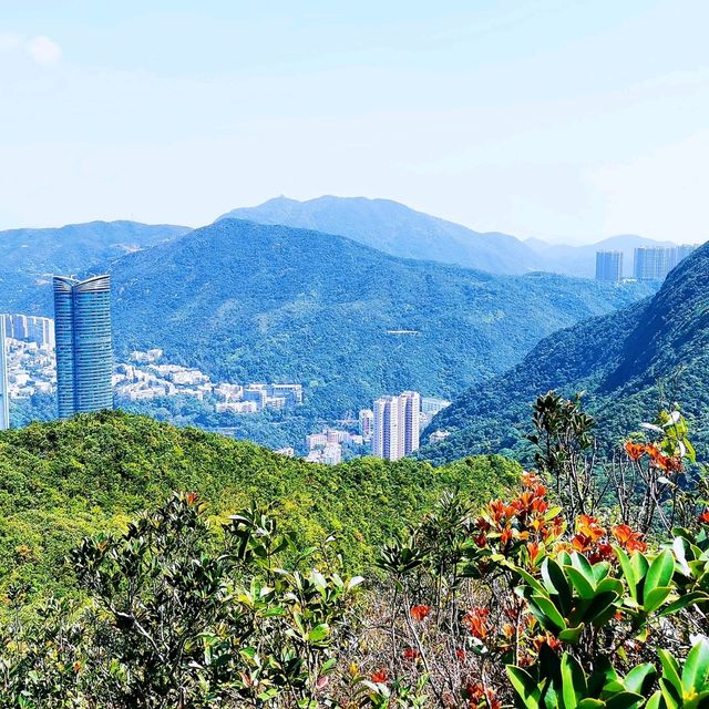 金馬倫山