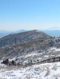 🚡곤도라로 15분타고 정상으로  “덕유산”