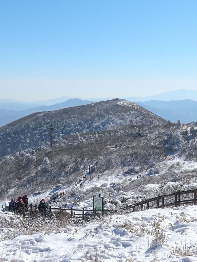 🚡곤도라로 15분타고 정상으로  “덕유산”