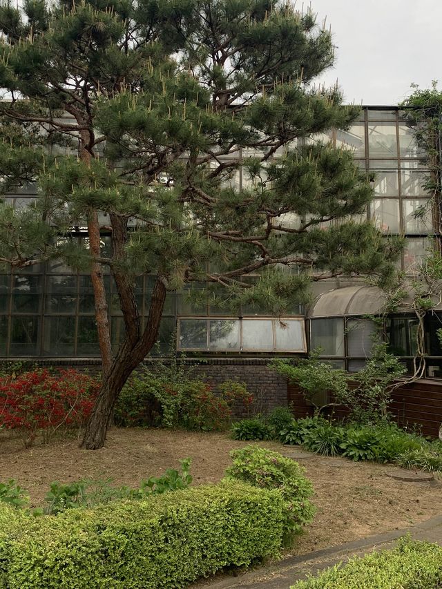 인천 피크닉하면서 선인장과 식물들 볼 수 있는 수목원 온실🌵 [인천_인천대공원수목원온실]
