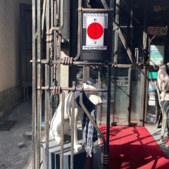 Seirinkan User Photo