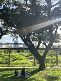 สวนป่าแห่งแรกกลางกรุงเทพฯ สวนเบญจกิติ 🌳