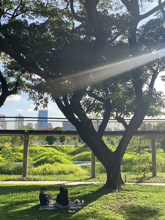 สวนป่าแห่งแรกกลางกรุงเทพฯ สวนเบญจกิติ 🌳