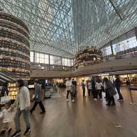 Beautiful Library out of a movie scene!