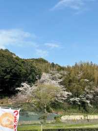 🇯🇵日本福岡県糸島市甜品店推介～ 每日新鮮製造！