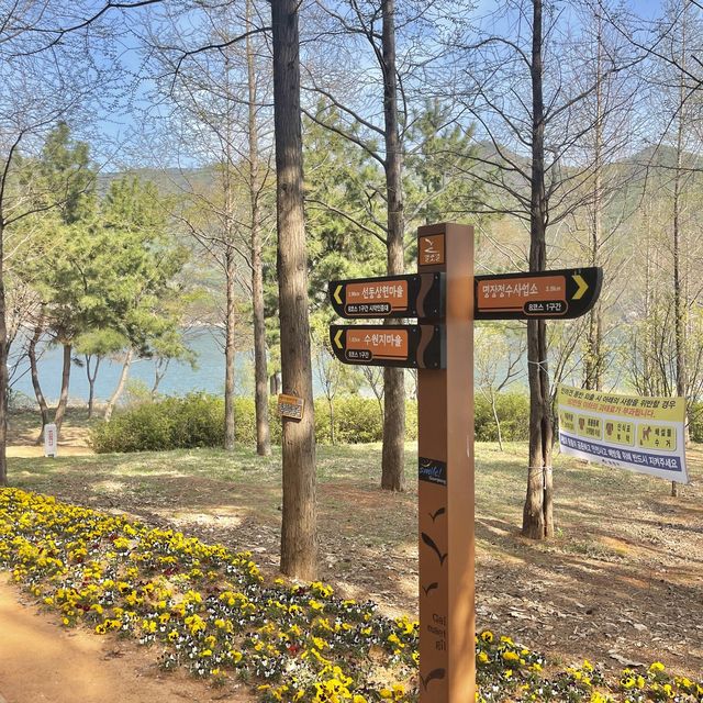 부산의 숨은 힐링장소 회동수원지 둘레길 황토숲길🌱🌸