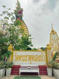 วัดพระธาตุหนองบัว วัดสวยคู่เมืองอุบลราชธานี