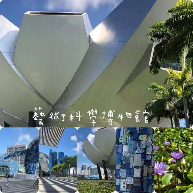 新加坡🇸🇬最具代表性建築❤️藝術科學博物館