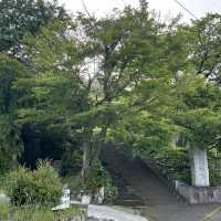静岡市を一望する徳願寺