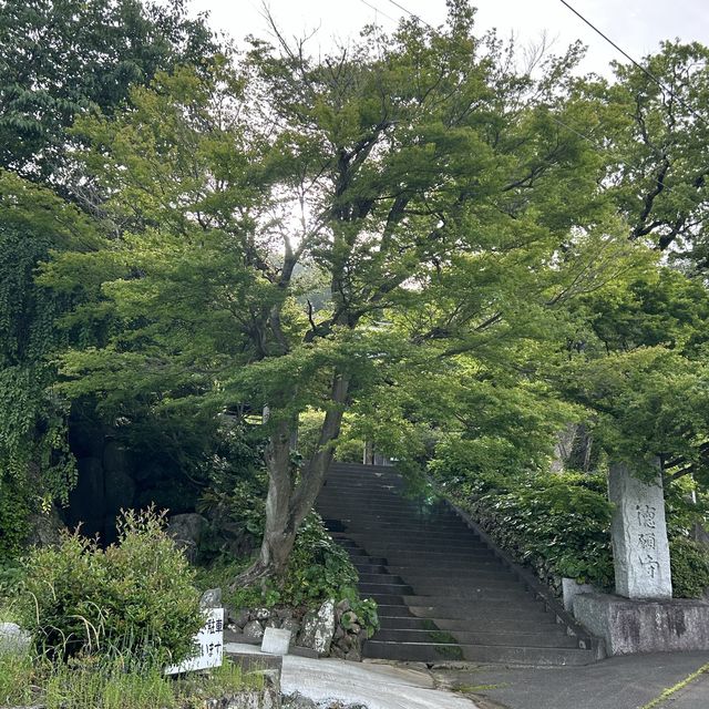 静岡市を一望する徳願寺