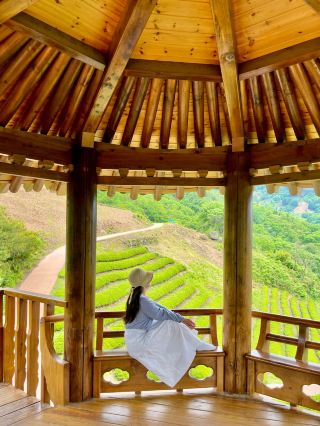 A collection of Hadong travel courses highly recommended as a summer travel destination💌