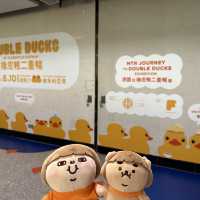 Fatty Puffy meet Duckys