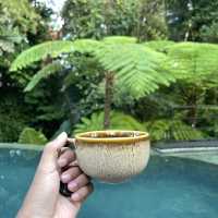 Amarea Resort Ubud