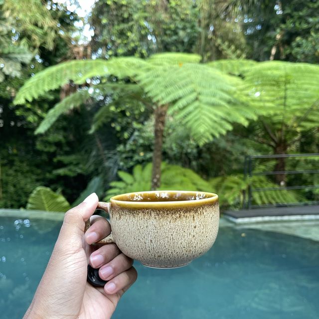 Amarea Resort Ubud