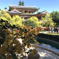 梅山輕旅行金光閃閃的《龍王金殿》