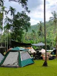 ยางนาแคมป์ Yangna Camp อุทัยธานี