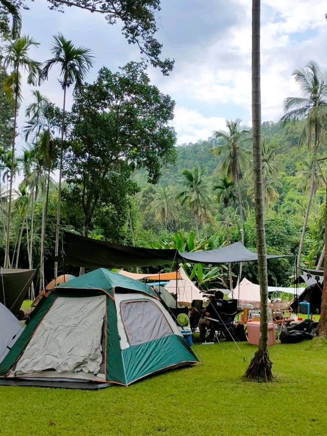 ยางนาแคมป์ Yangna Camp อุทัยธานี