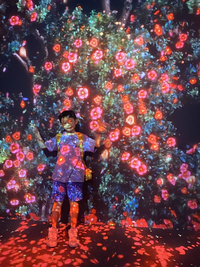 暑假開始🎉欣賞ARTE M 燈光數碼藝術