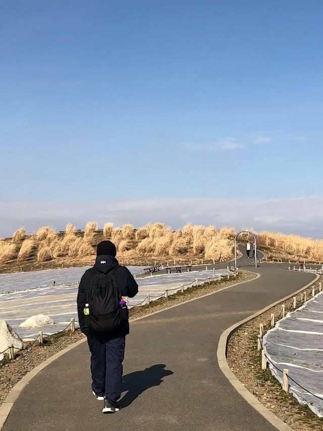 東京出發2小時景點🤪賞花必到‼️國營常陸海濱公園