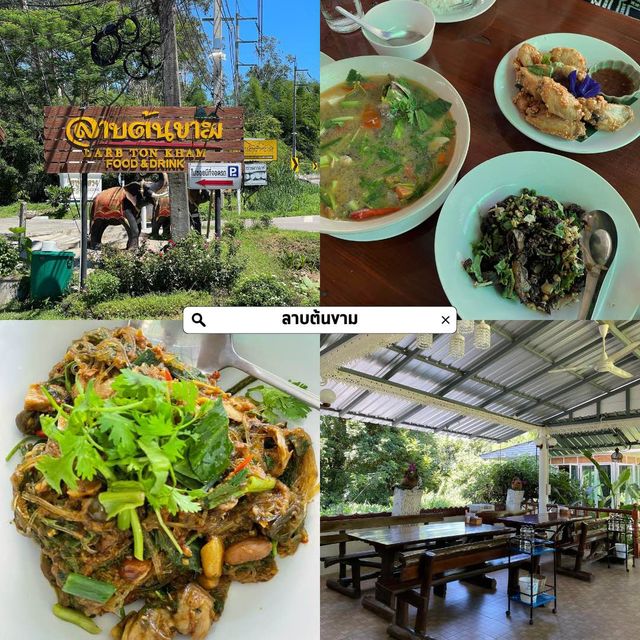 เชียงดาวกินไรดี ?