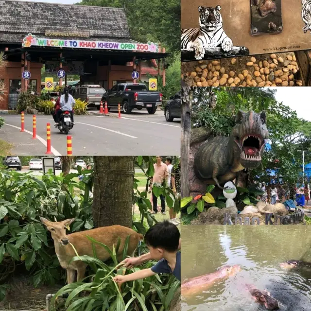 一天車去芭堤雅推薦💙想去動物園 Khao Kheow open zoo💪
