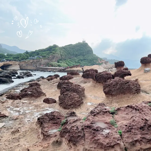 The Wonderful Rocks at Yehliu Geopark 🩵