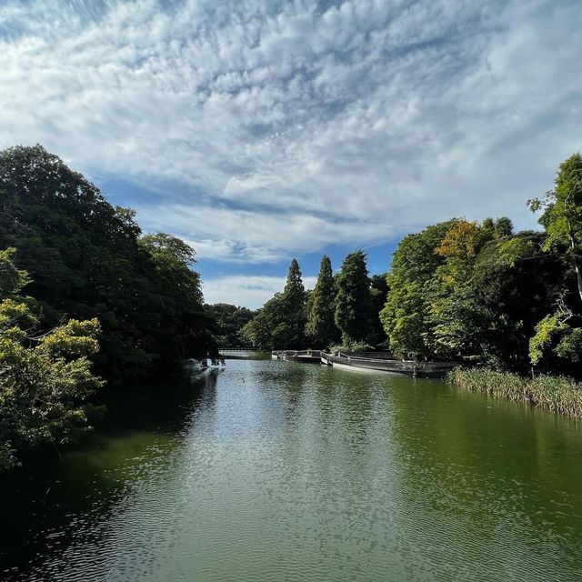 Inokashira park 