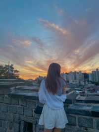 지금 꼭 가야하는 코스모스 스팟💛