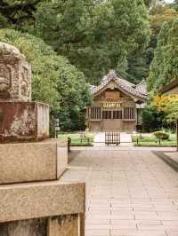 福岡好去處｜⛩️參拜學問之神「太宰府天滿宮」