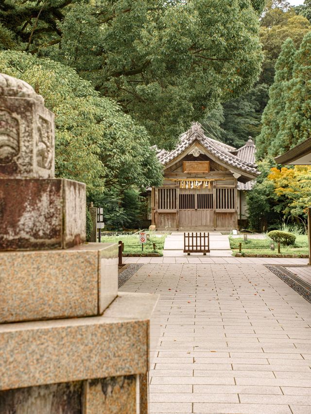 福岡好去處｜⛩️參拜學問之神「太宰府天滿宮」