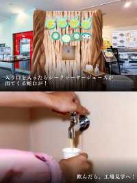 大人も子供も楽しめる！美と健康に嬉しいシークヮーサーパーク🌺